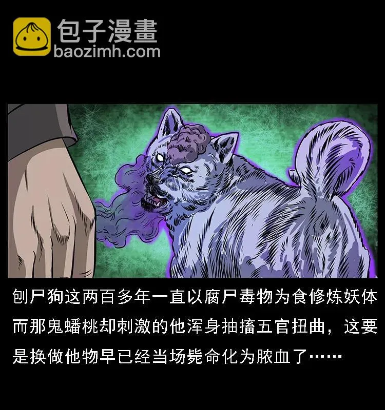084 刨尸狗的妖化之路 第24页