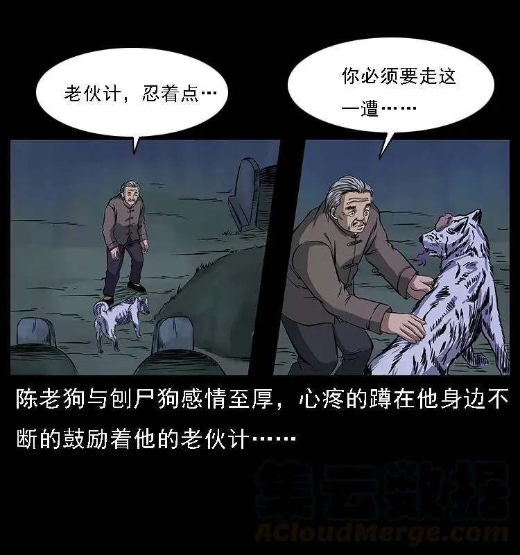 084 刨尸狗的妖化之路 第25页