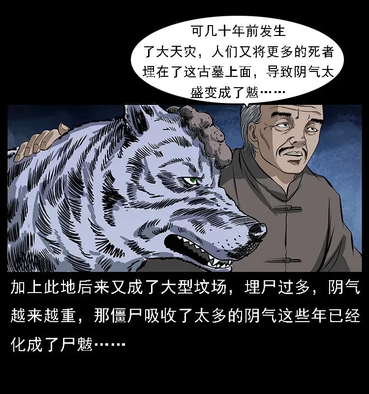 084 刨尸狗的妖化之路 第28页
