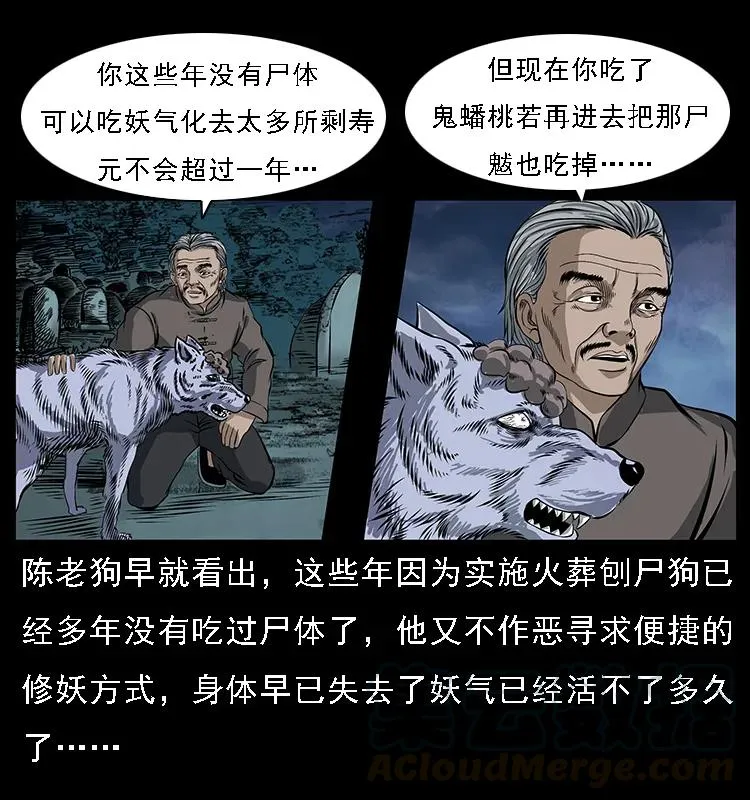 084 刨尸狗的妖化之路 第29页