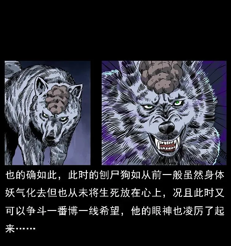 084 刨尸狗的妖化之路 第35页