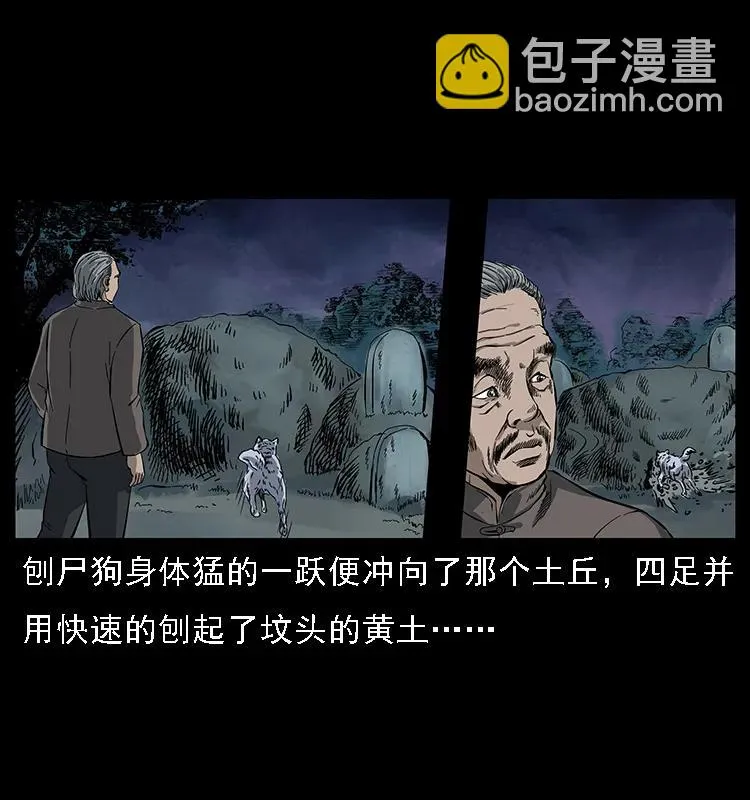 084 刨尸狗的妖化之路 第36页