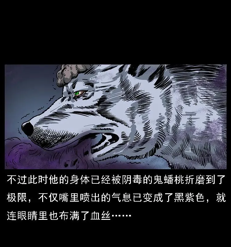 084 刨尸狗的妖化之路 第43页
