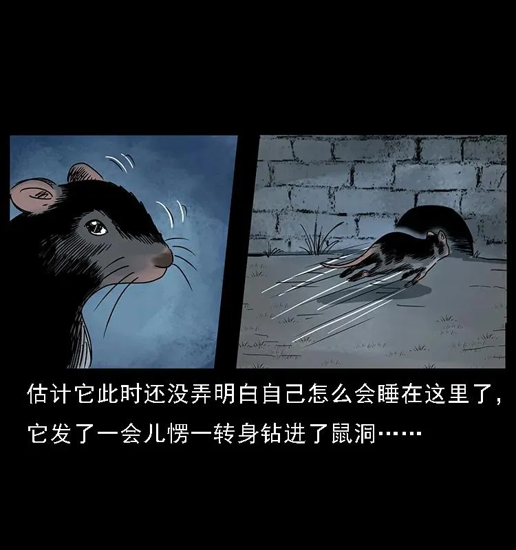 084 刨尸狗的妖化之路 第55页