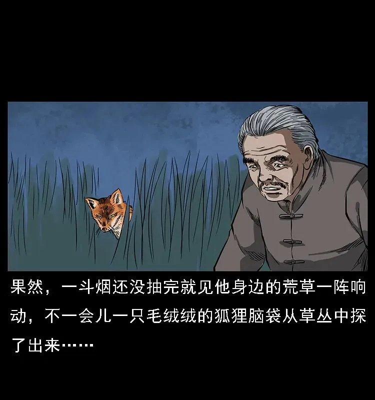 084 刨尸狗的妖化之路 第58页