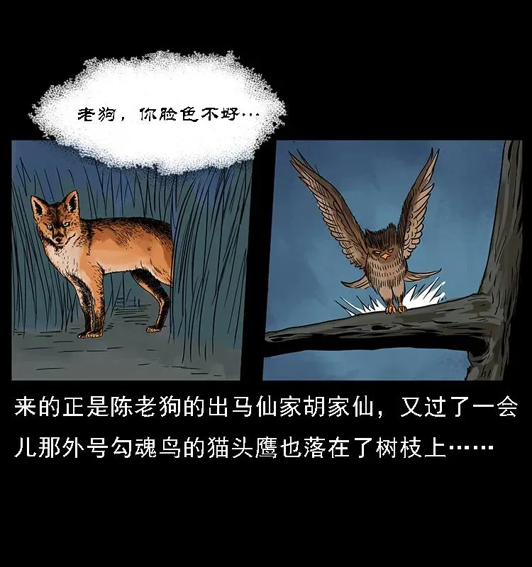 084 刨尸狗的妖化之路 第59页