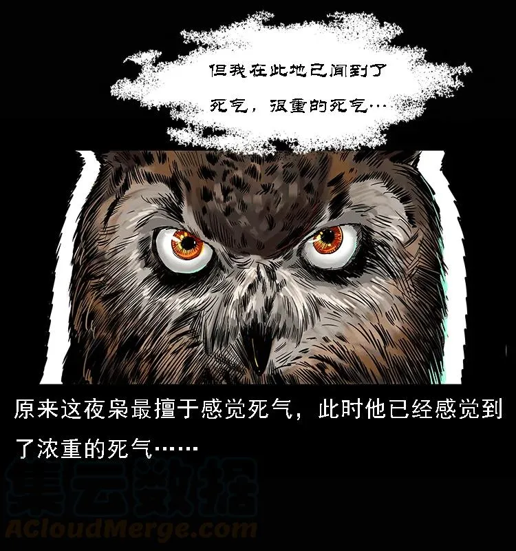 084 刨尸狗的妖化之路 第73页
