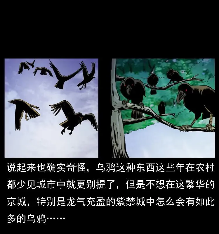 085 神仙座 第55页