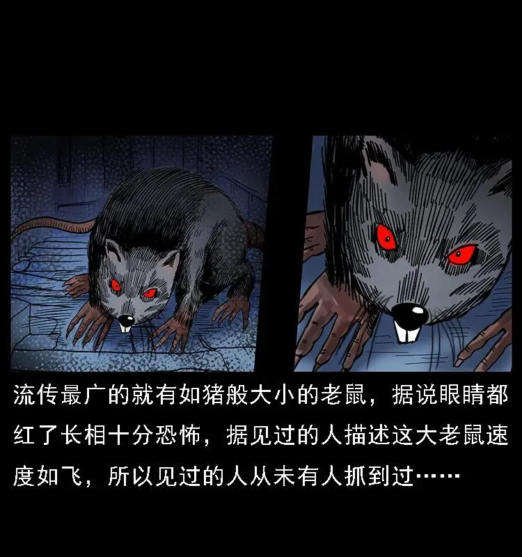 086 冷寒宫冤魂 第11页