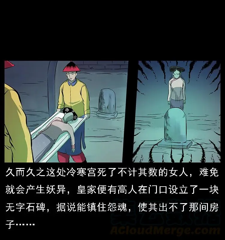 086 冷寒宫冤魂 第41页