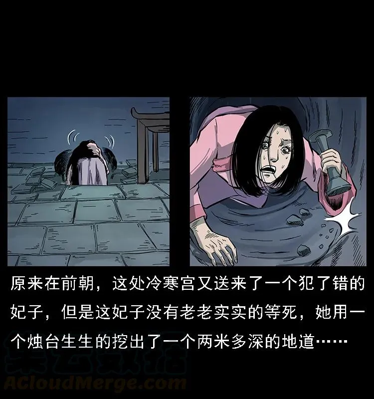 086 冷寒宫冤魂 第45页