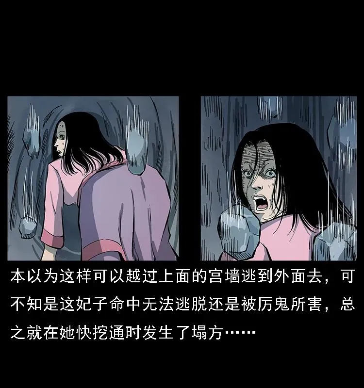 086 冷寒宫冤魂 第46页