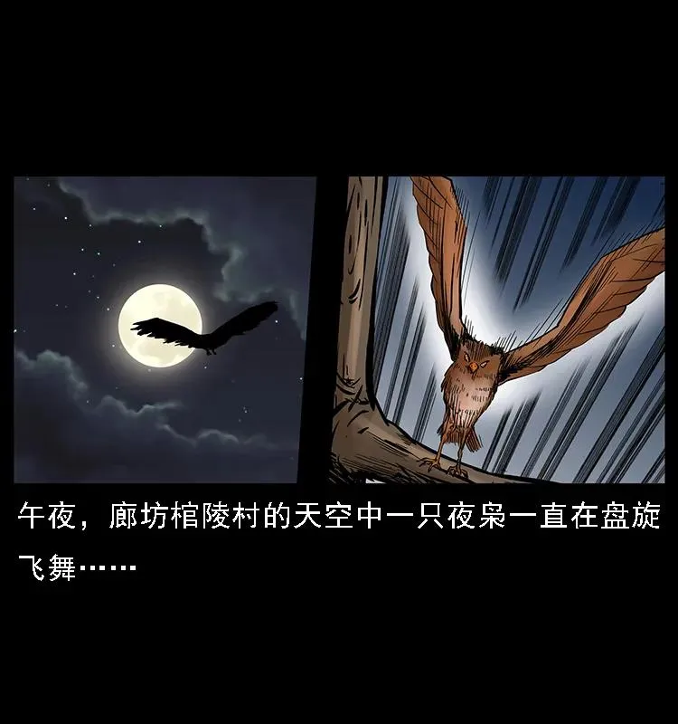 088 勾魂鸟夜枭 第2页