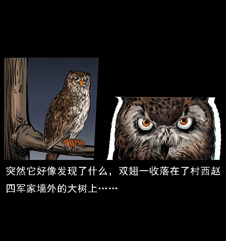 088 勾魂鸟夜枭 第3页