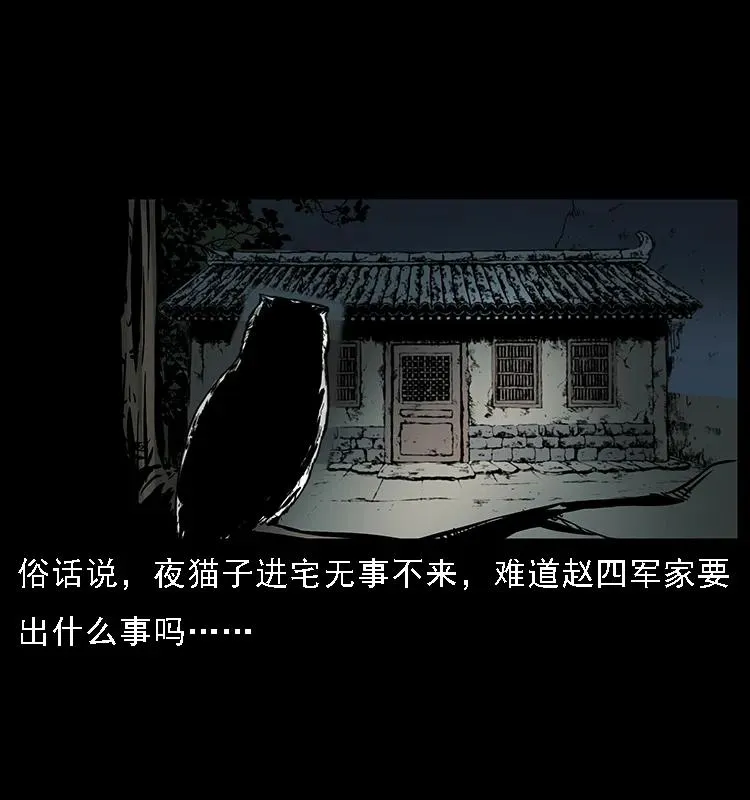 088 勾魂鸟夜枭 第4页