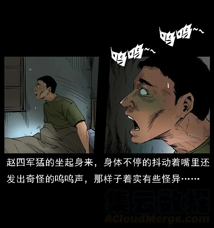 088 勾魂鸟夜枭 第13页