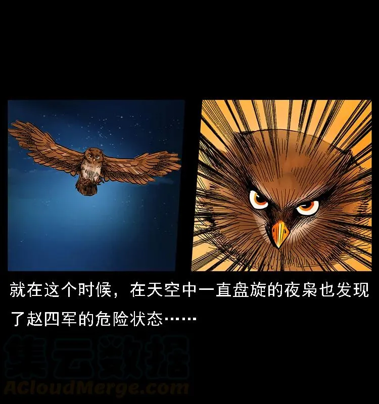 088 勾魂鸟夜枭 第25页