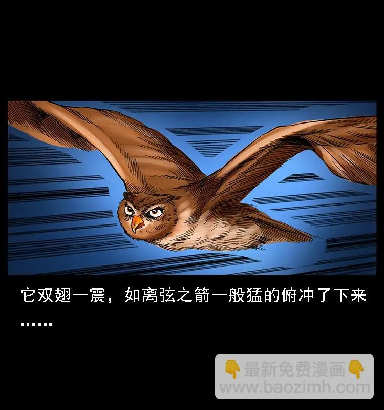 088 勾魂鸟夜枭 第26页