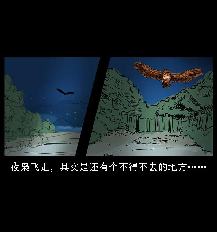 088 勾魂鸟夜枭 第88页