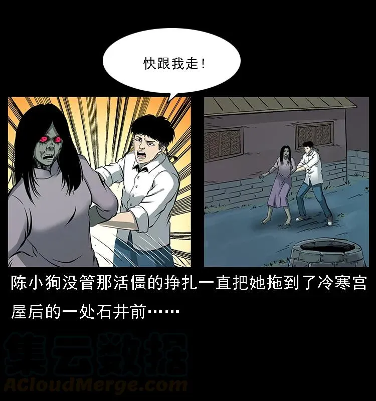 087 深宫怨灵 第21页