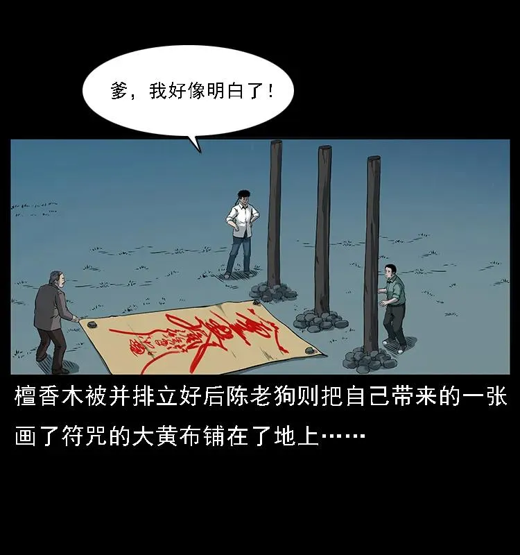 090 引魂大阵 第3页