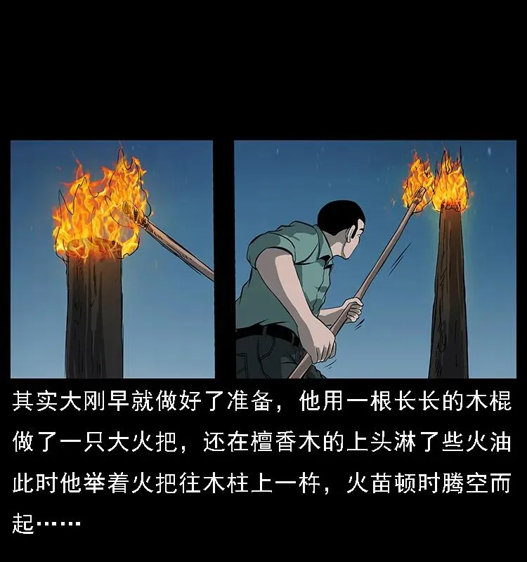090 引魂大阵 第55页