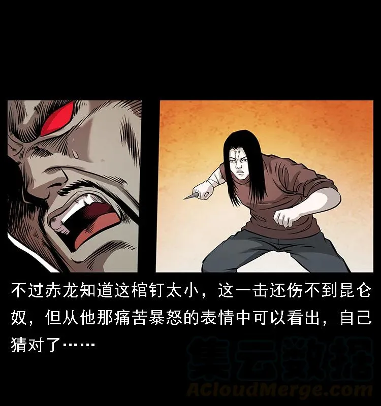 104 昆仑奴的致命之处 第45页