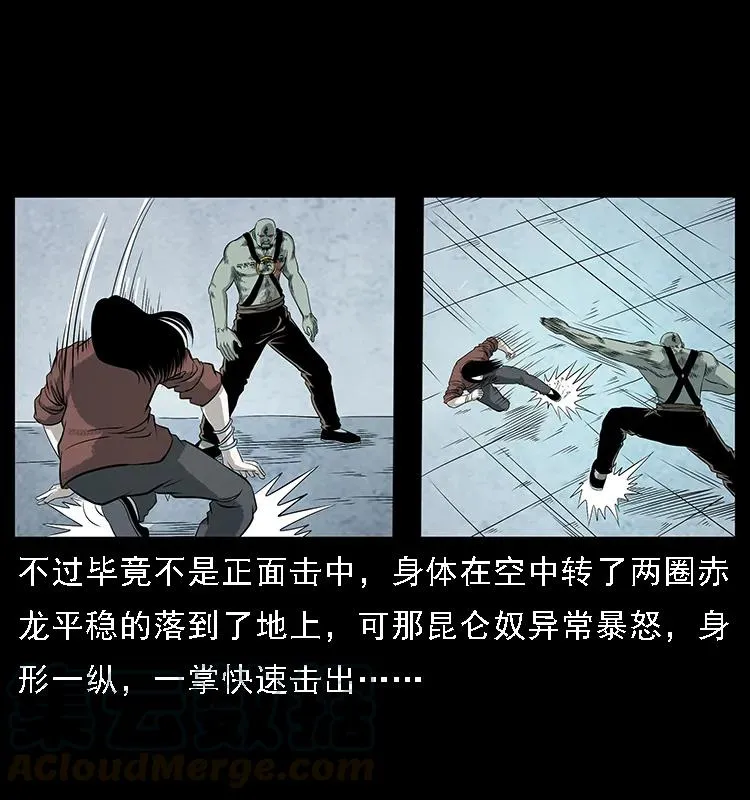 104 昆仑奴的致命之处 第49页