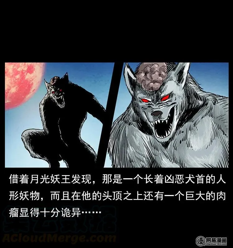 109 妖仙刨尸狗 第5页