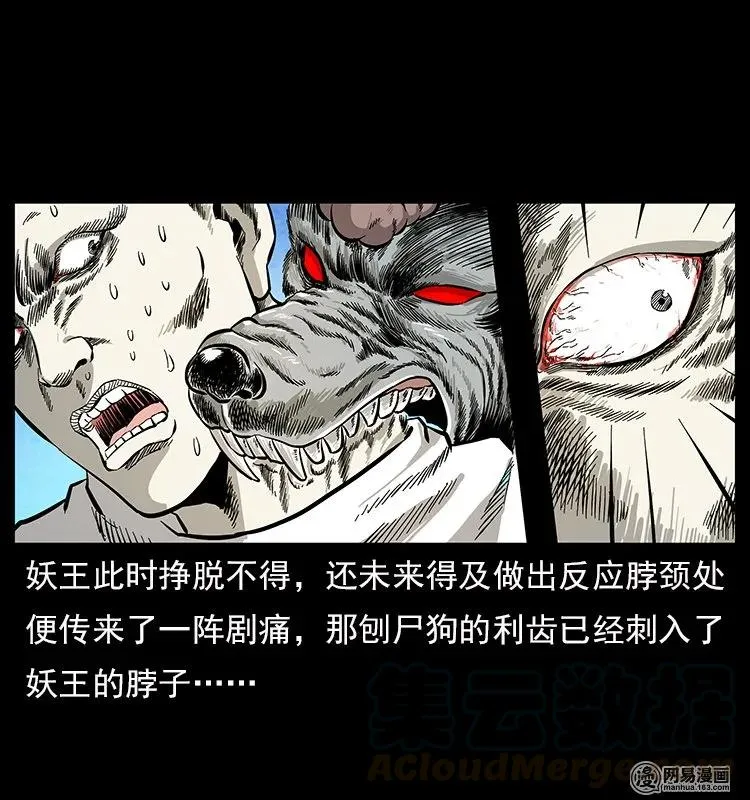 109 妖仙刨尸狗 第13页
