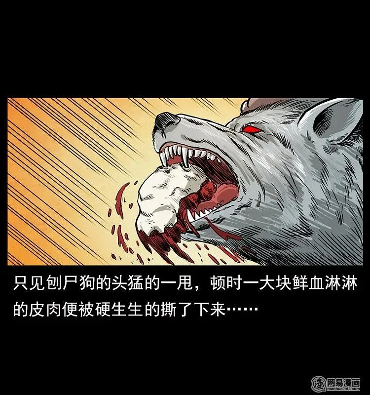 109 妖仙刨尸狗 第14页