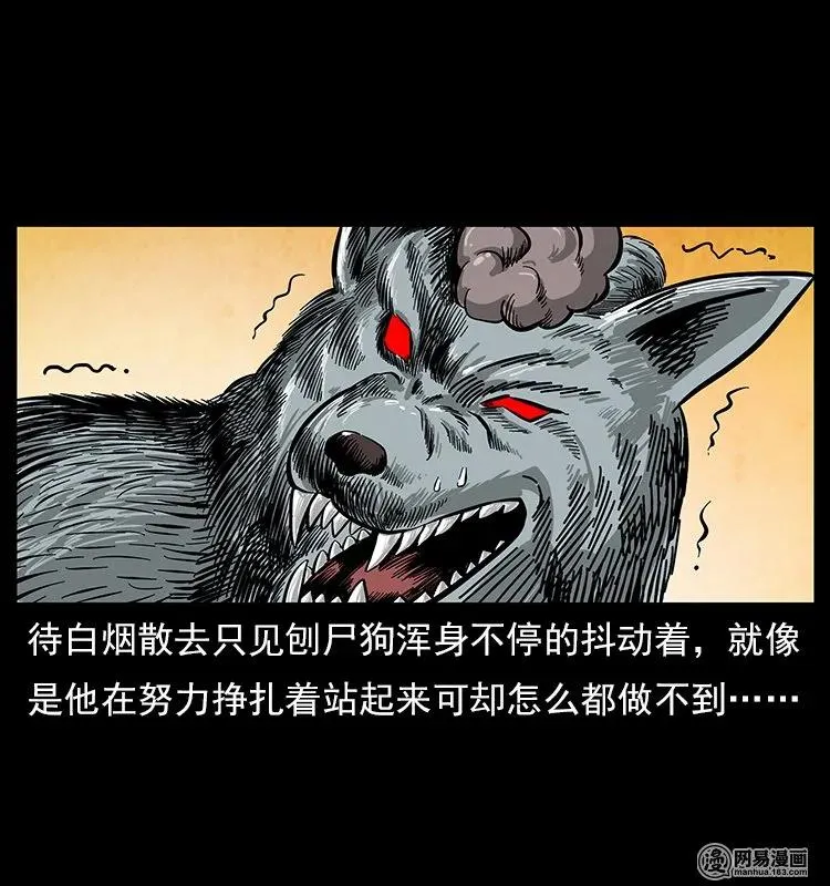 109 妖仙刨尸狗 第26页