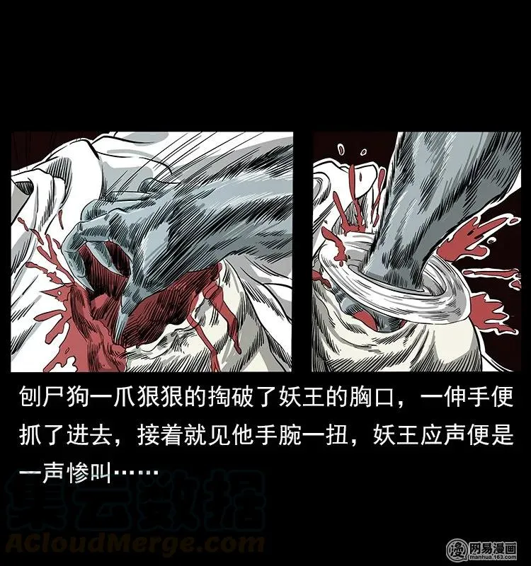 109 妖仙刨尸狗 第41页