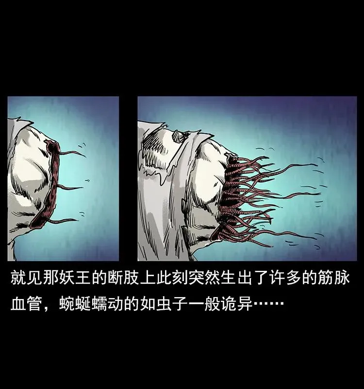 108 九莲困神阵 第30页