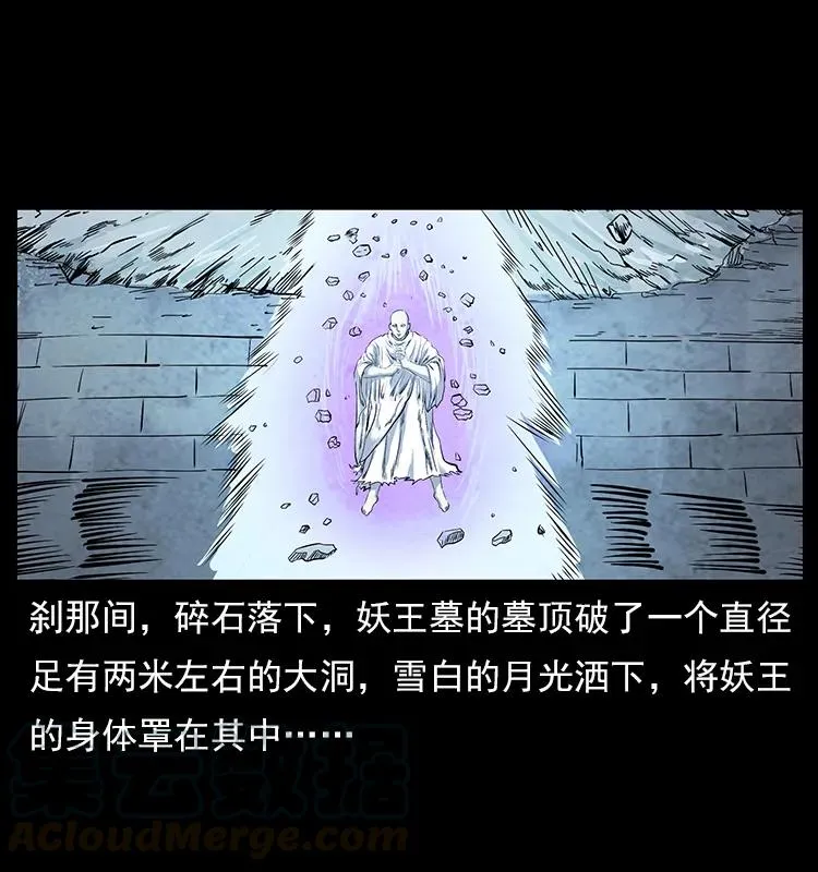 108 九莲困神阵 第53页