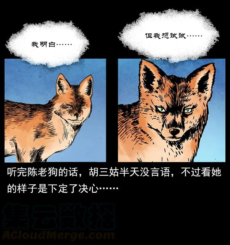 111 新的征程 第41页