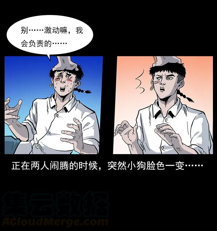 113 胎煞 第53页