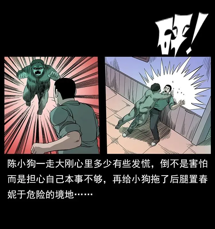 113 胎煞 第66页