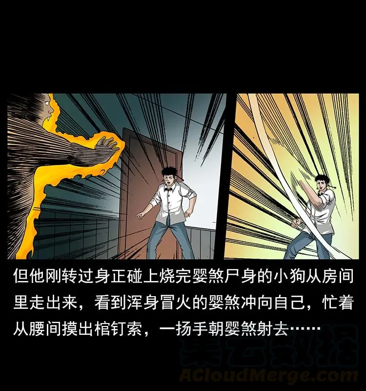 113 胎煞 第81页