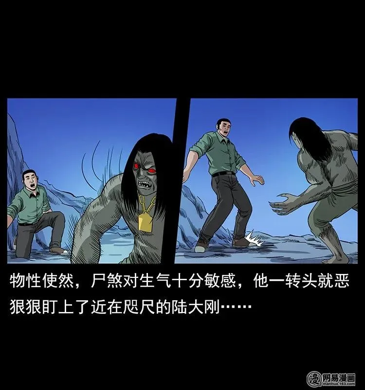 118 天宝仙牌 第12页