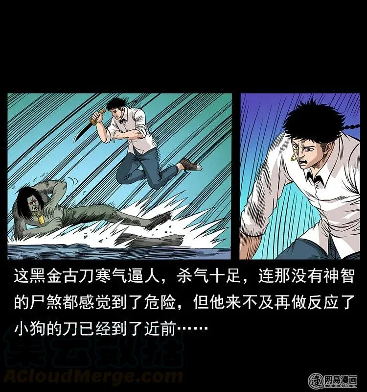 118 天宝仙牌 第21页