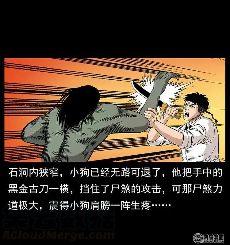118 天宝仙牌 第29页