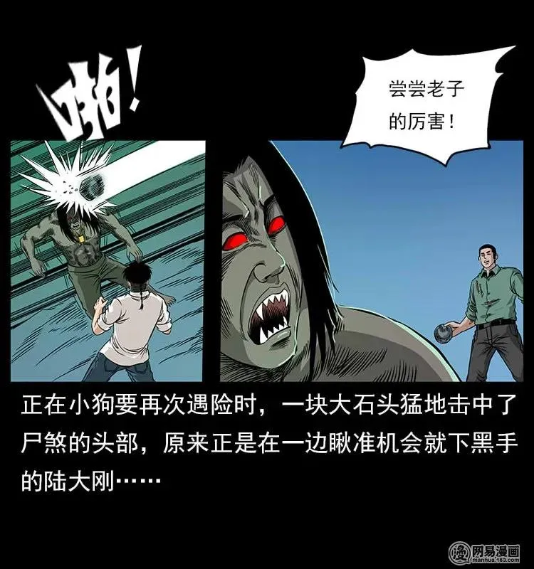 118 天宝仙牌 第31页