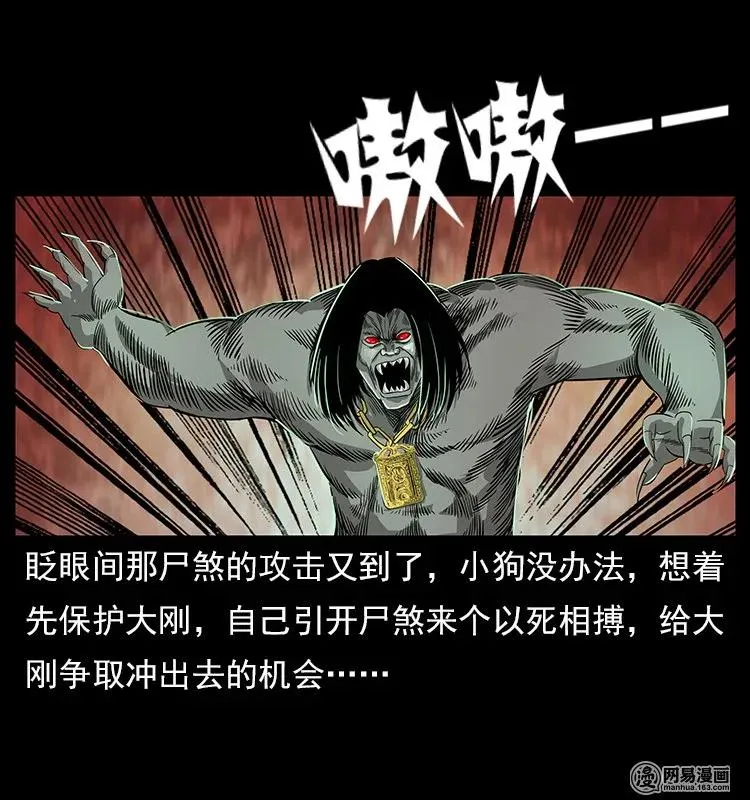 118 天宝仙牌 第36页