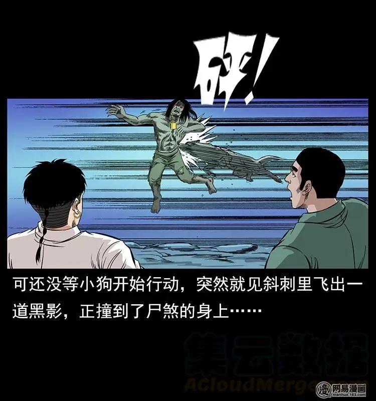 118 天宝仙牌 第37页