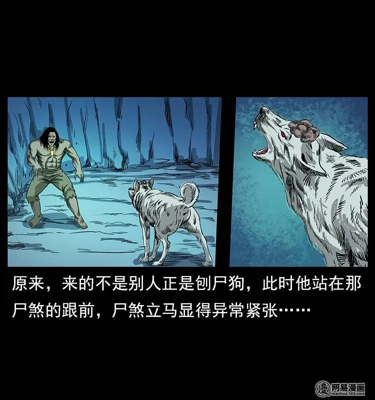 118 天宝仙牌 第40页