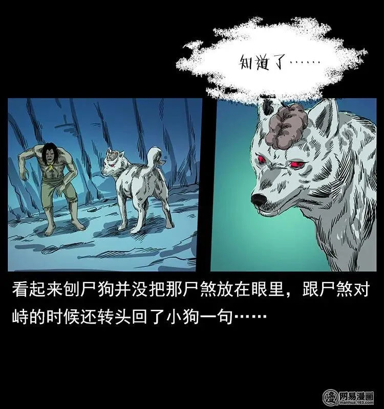 118 天宝仙牌 第42页