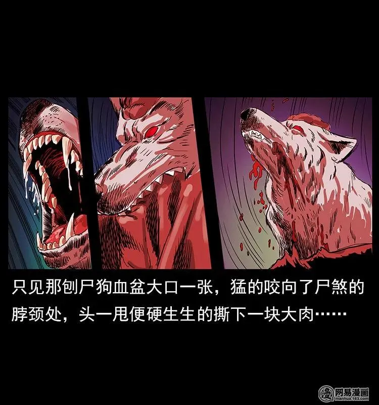 118 天宝仙牌 第44页