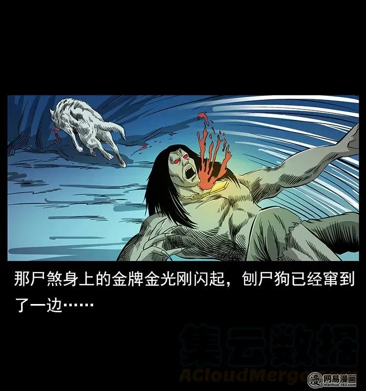 118 天宝仙牌 第45页