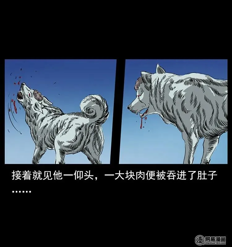 118 天宝仙牌 第46页